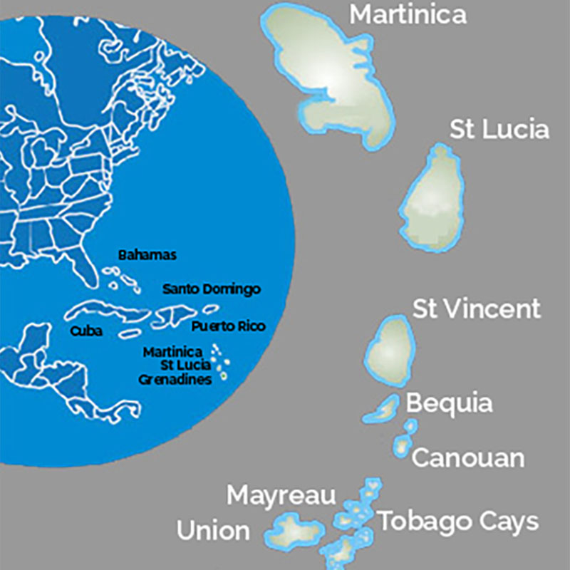 Caraibi in catamarano